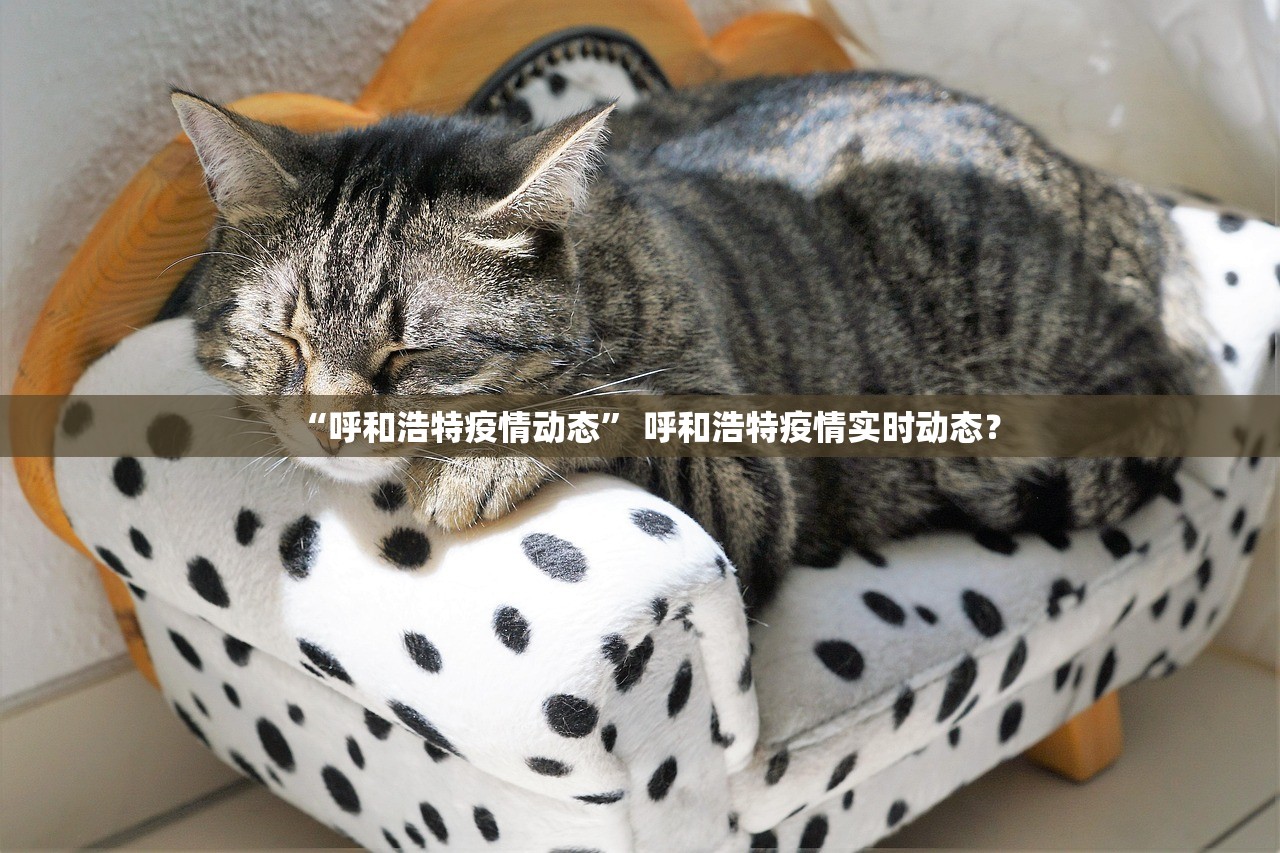 “呼和浩特疫情动态” 呼和浩特疫情实时动态？
