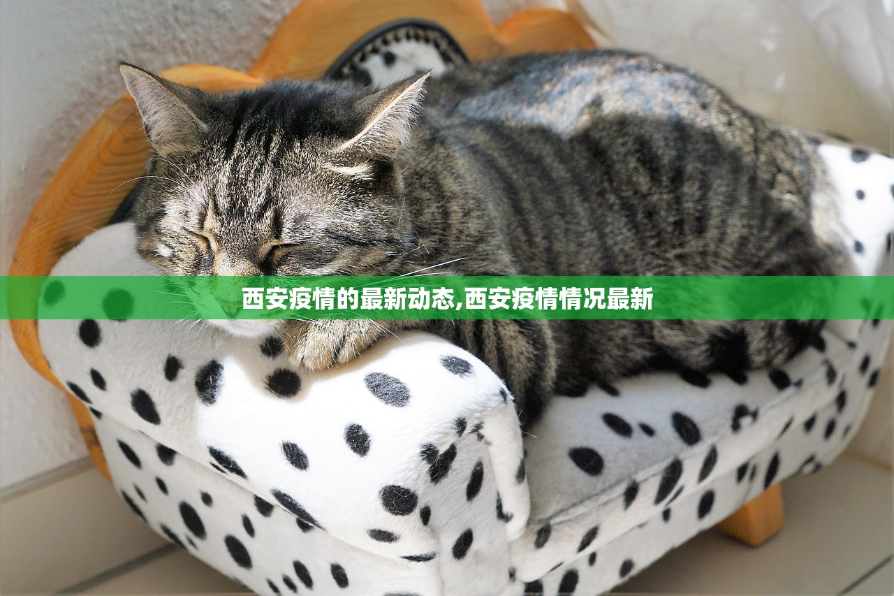 「哈尔滨所有小区封闭管理」〃哈尔滨所有小区封闭管理多久