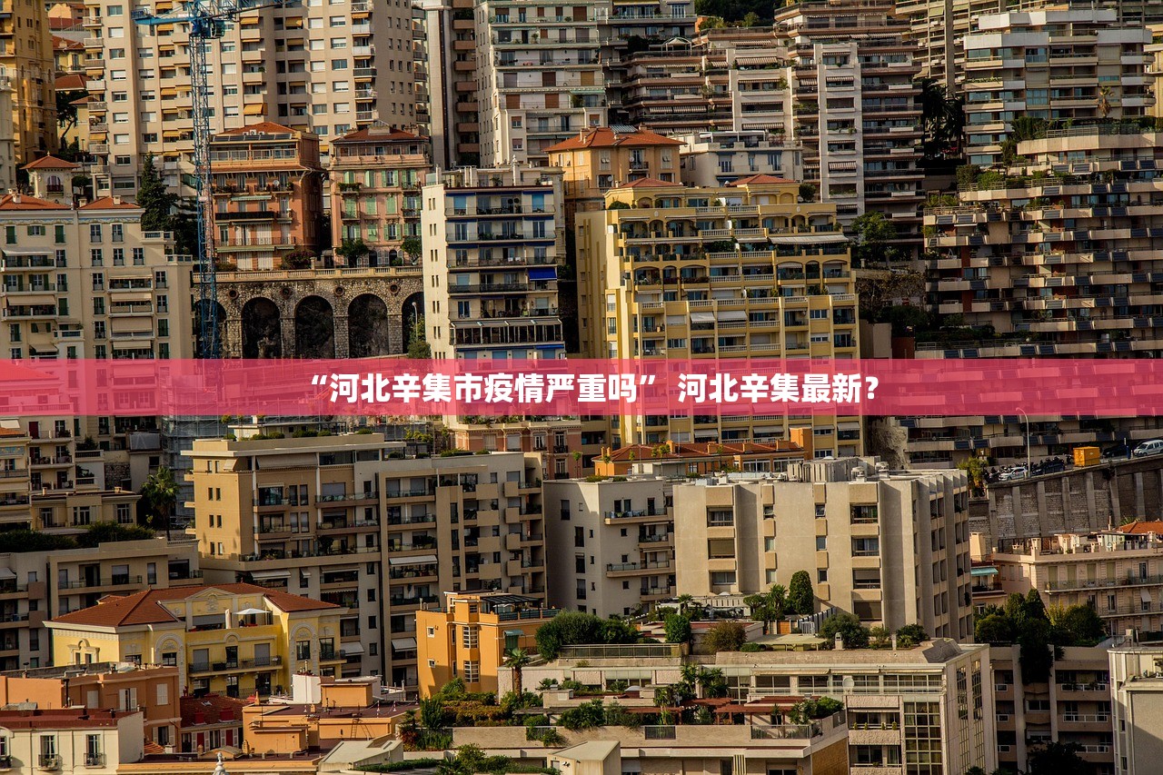 “河北辛集市疫情严重吗” 河北辛集最新？