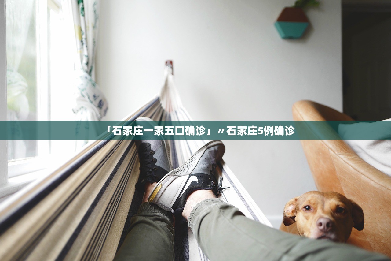 石家庄疫情最新公布-石家庄疫情最新数据消息新增