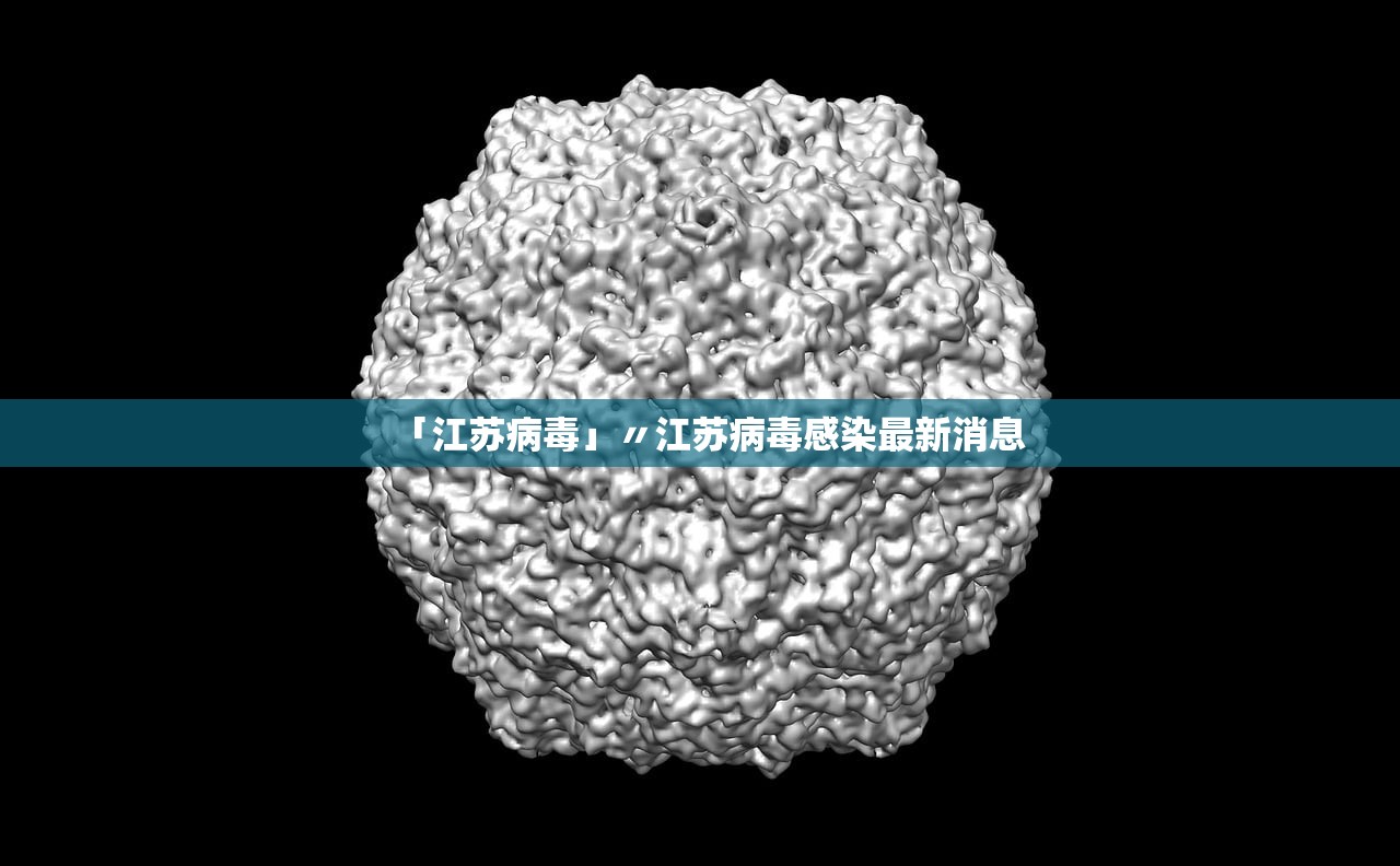 【丹东市最新疫情通报/丹东疫情动态】