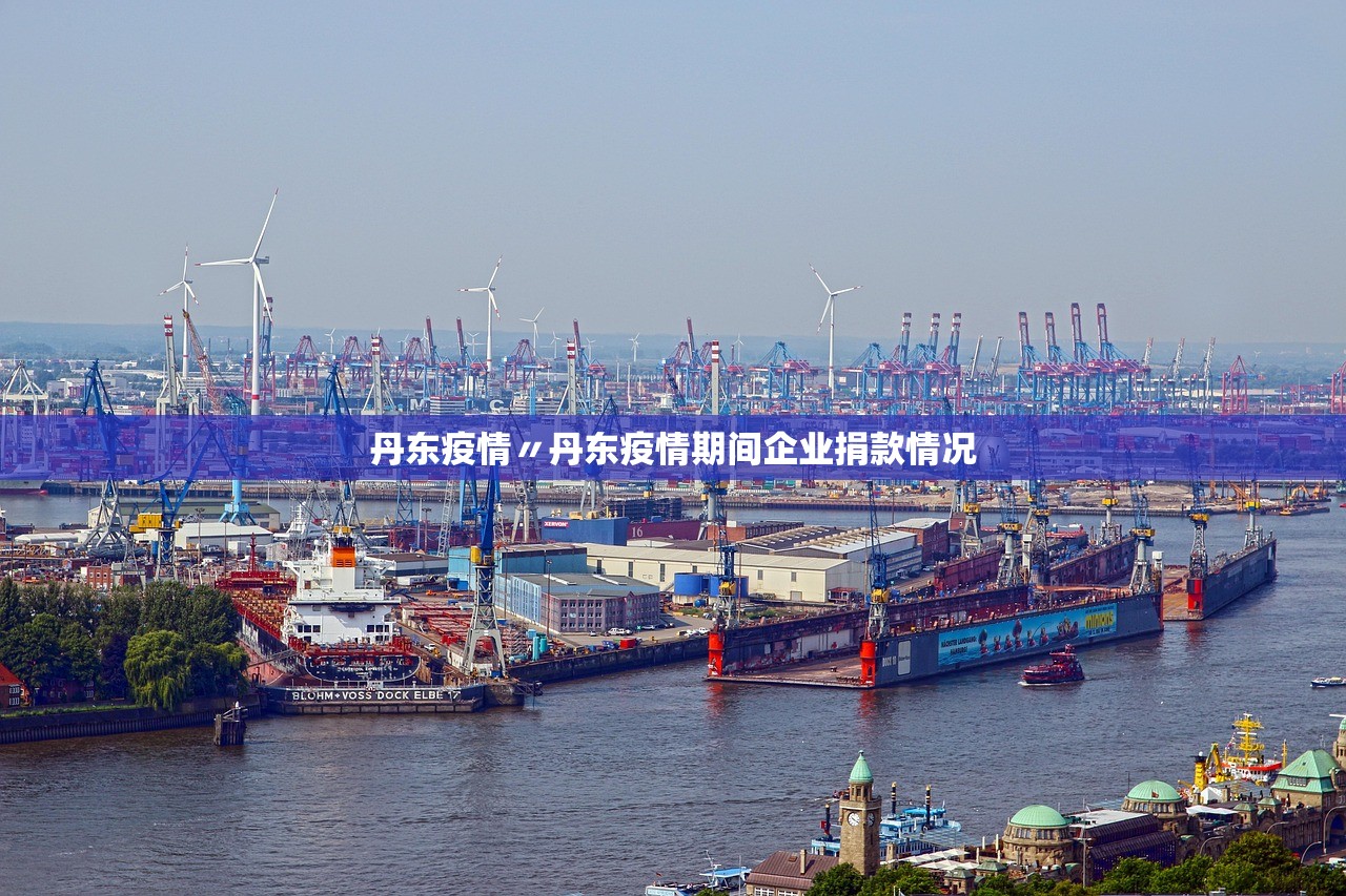 丹东疫情〃丹东疫情期间企业捐款情况