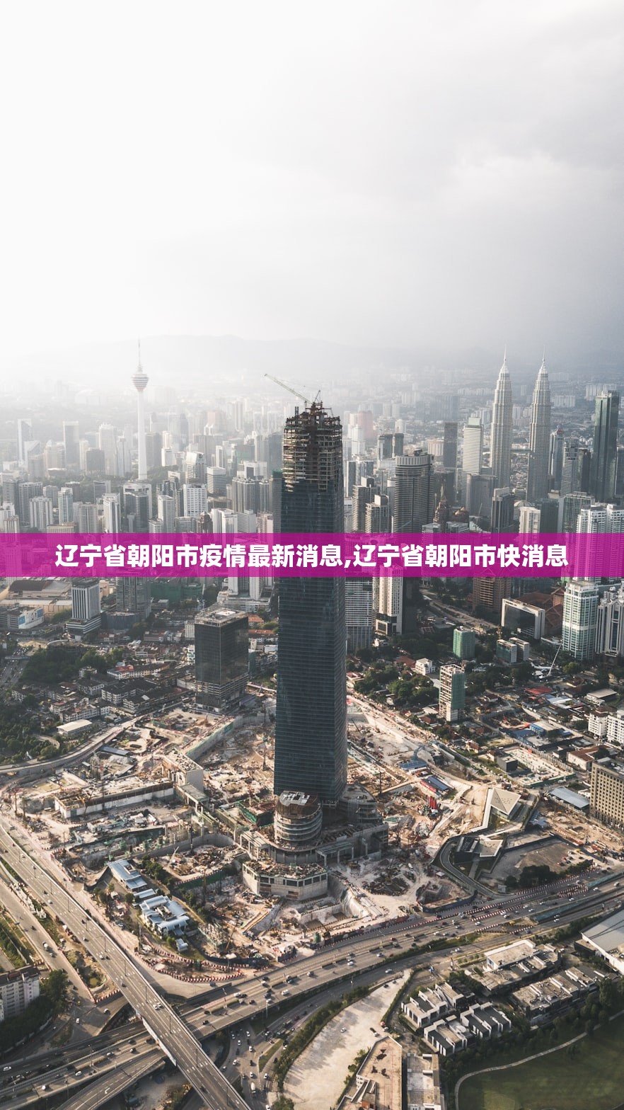辽宁省朝阳市疫情最新消息,辽宁省朝阳市快消息