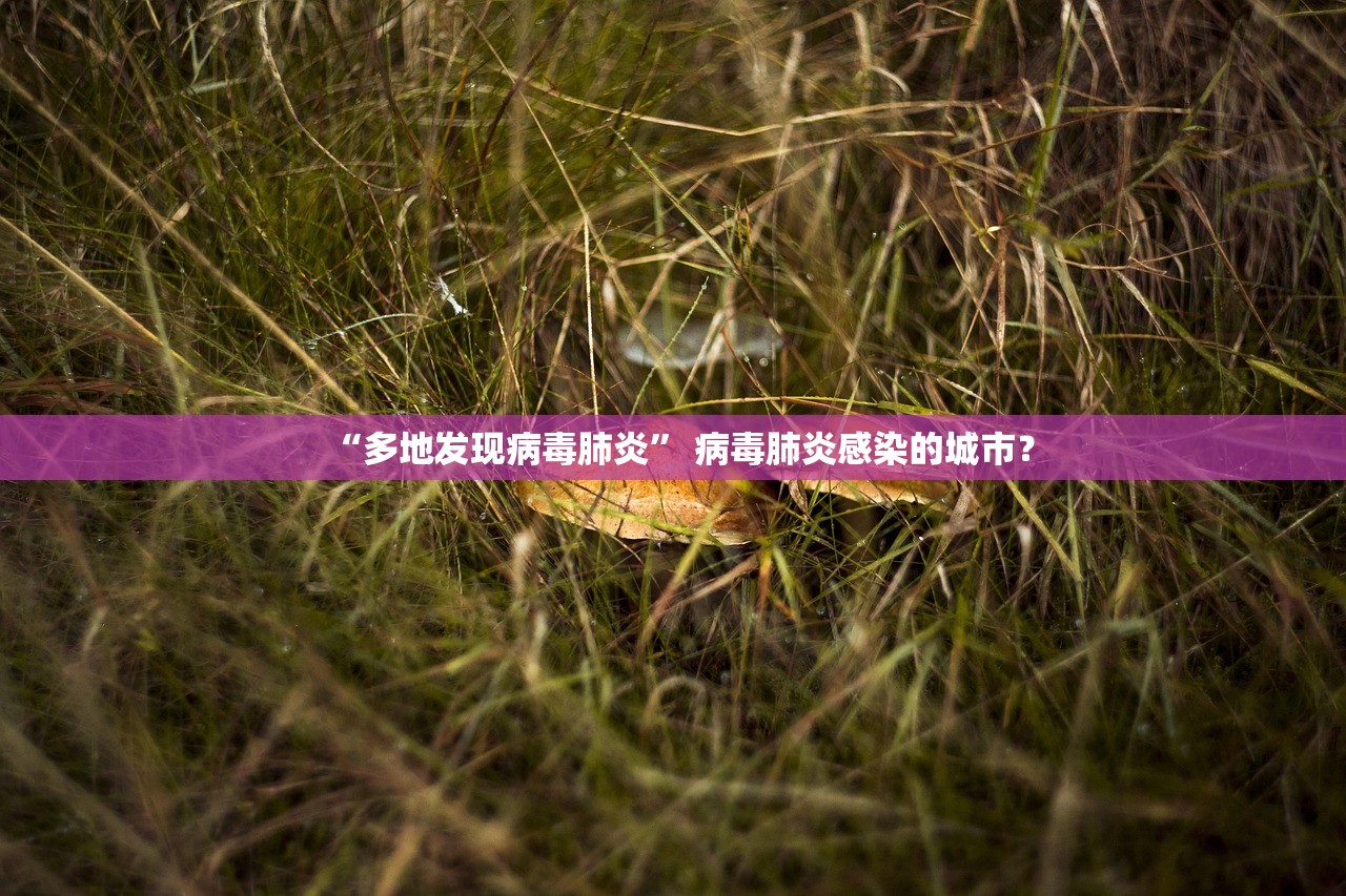 “多地发现病毒肺炎” 病毒肺炎感染的城市？