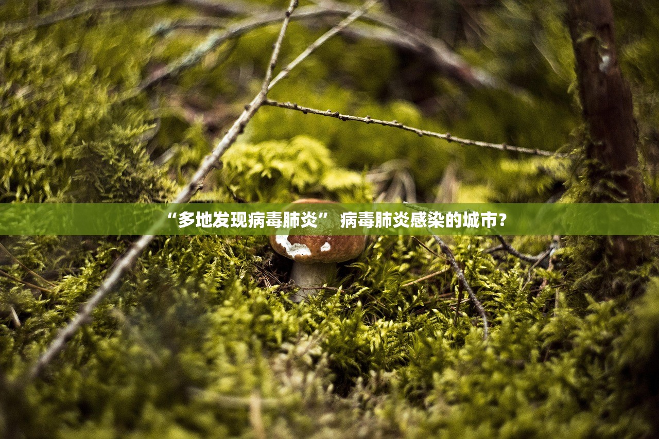 “多地发现病毒肺炎	” 病毒肺炎感染的城市？