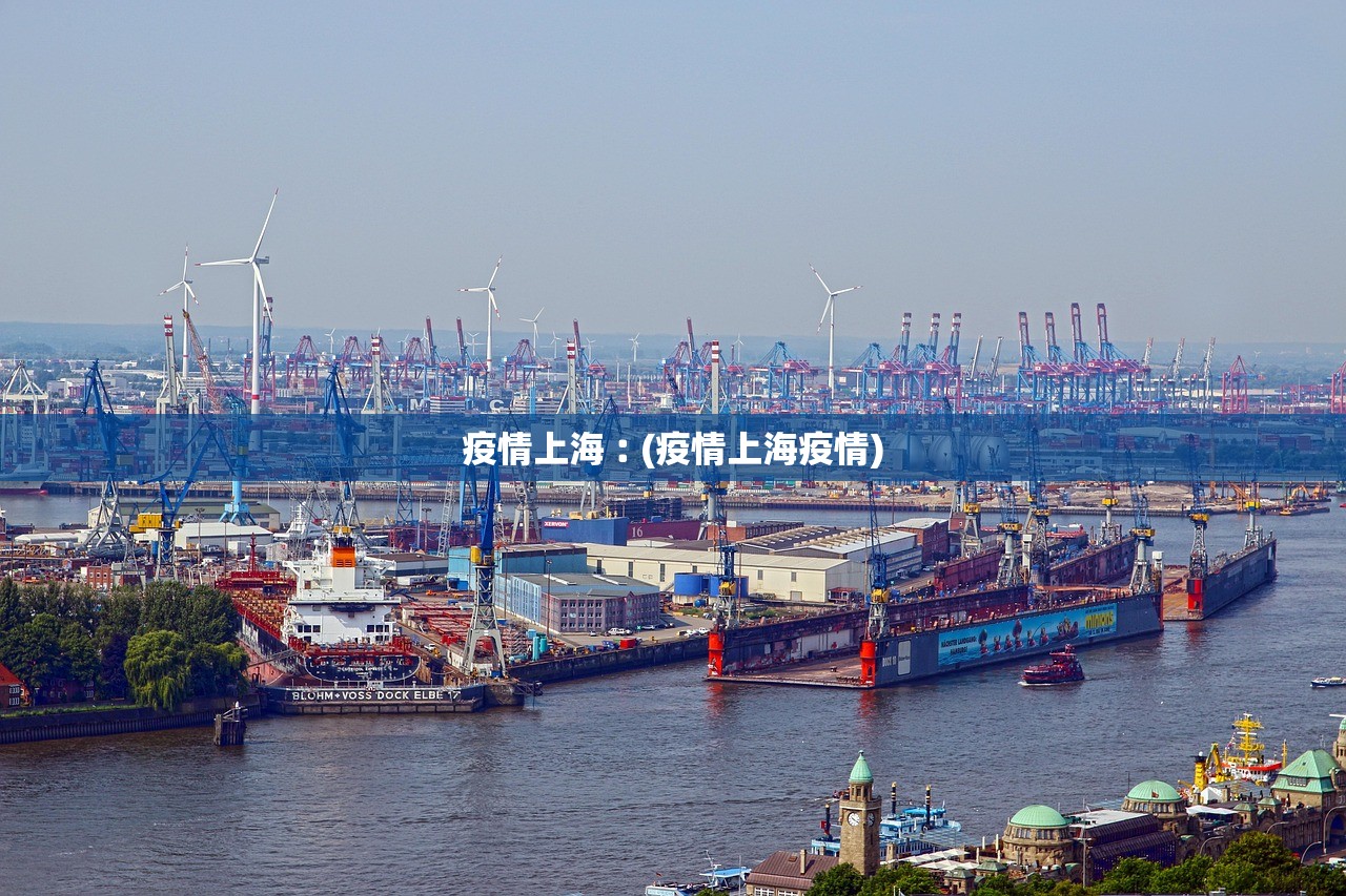 疫情上海︰(疫情上海疫情)