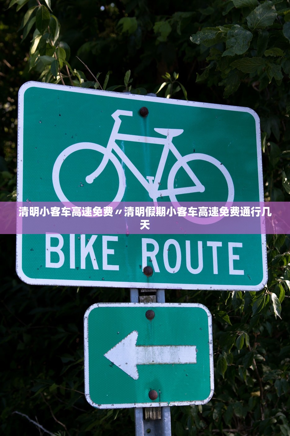 玩家必读“四川微乐麻将装挂怎么安装	”(曝光透视必备猫腻)