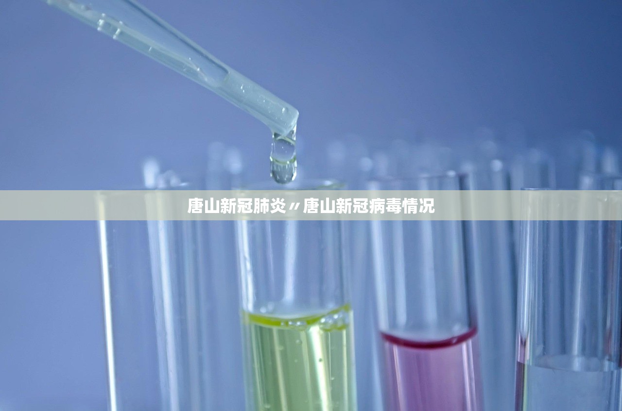 石家庄病例行动轨迹.石家庄确诊患者行动轨迹