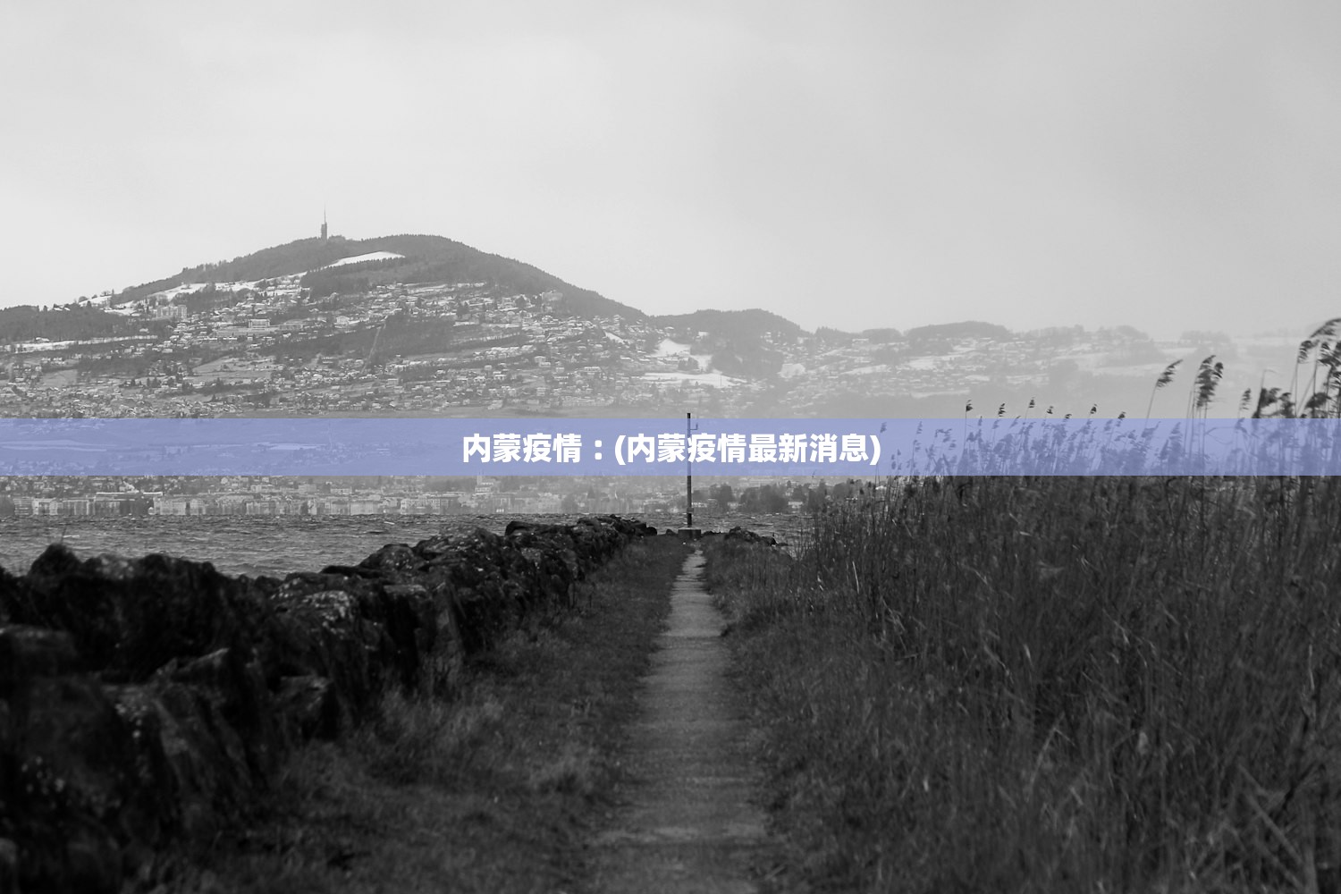 内蒙疫情︰(内蒙疫情最新消息)