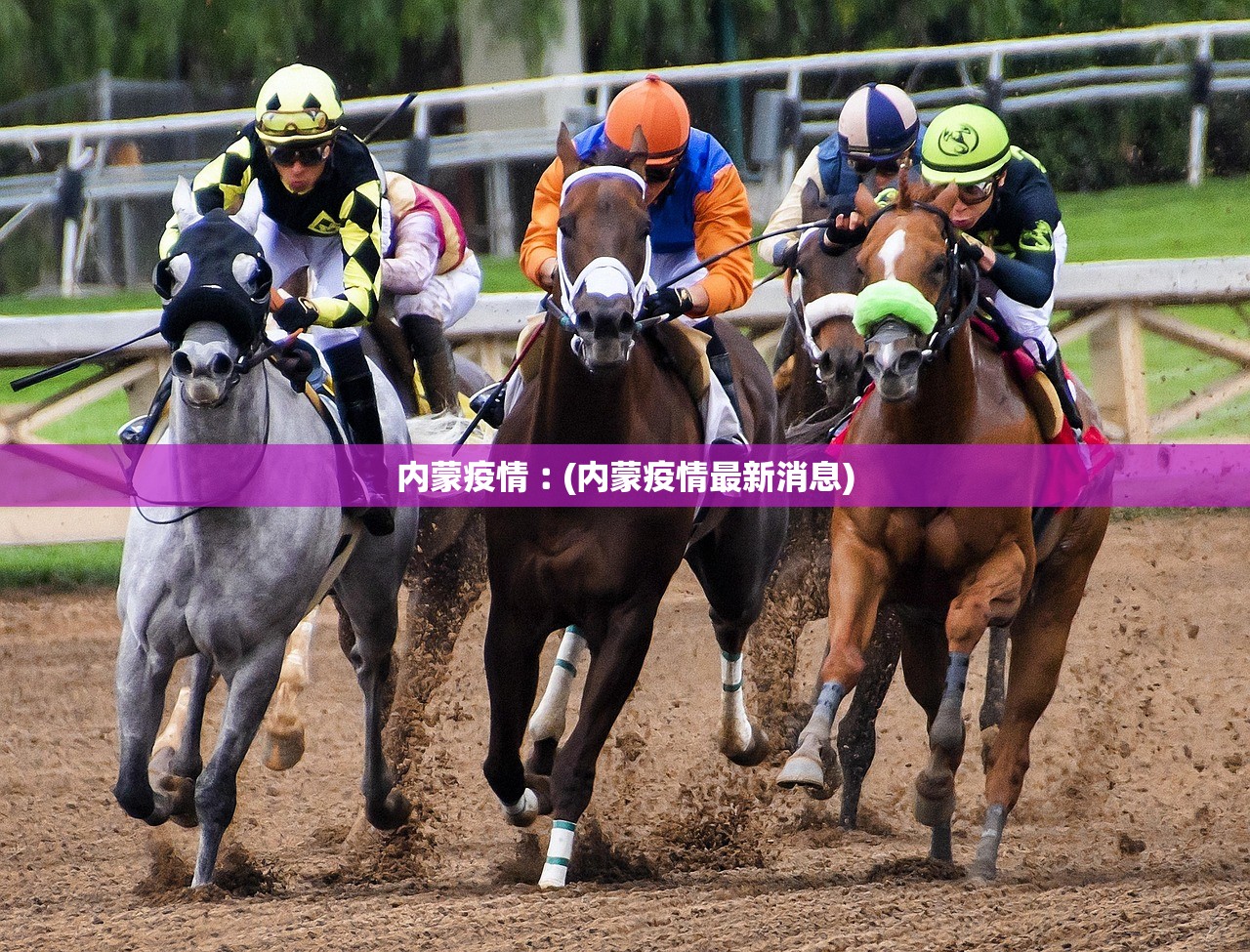 内蒙疫情︰(内蒙疫情最新消息)