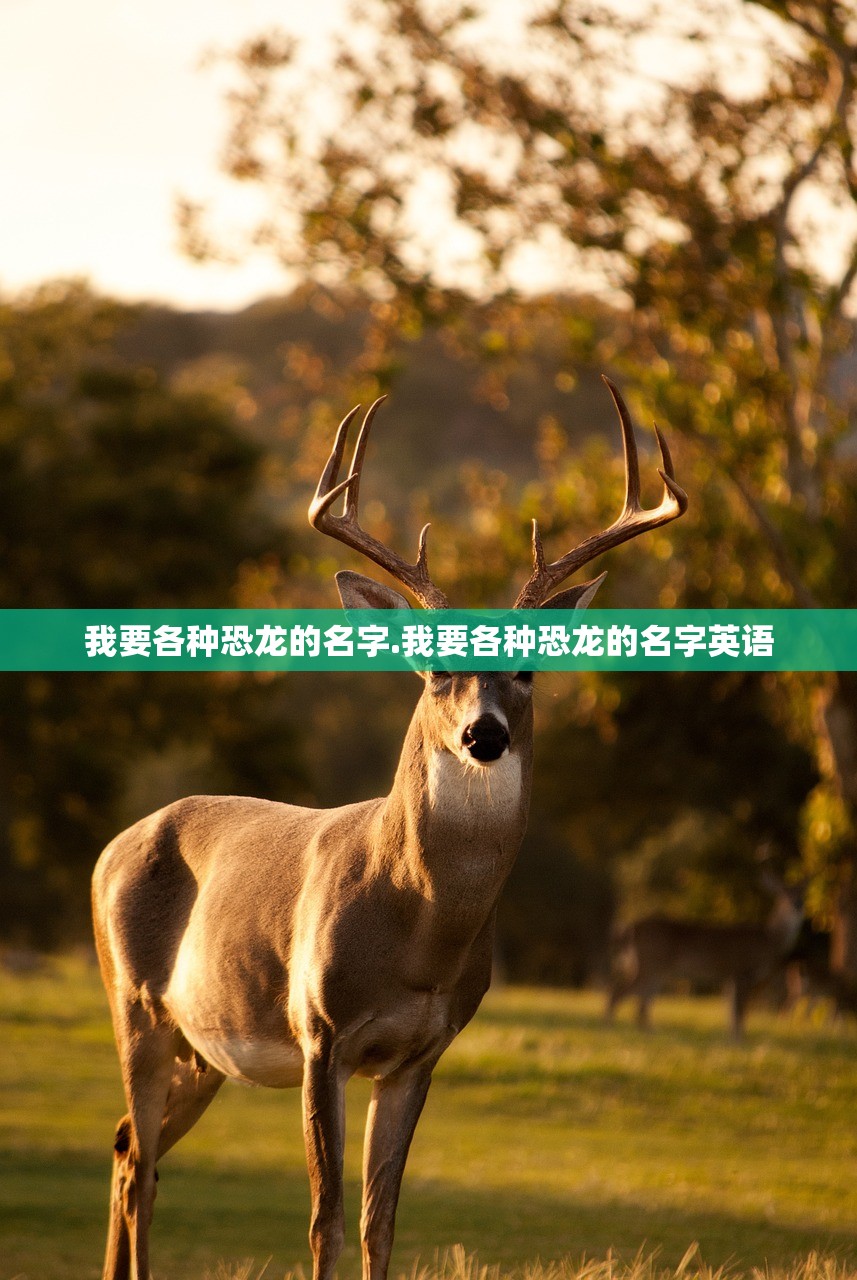 我要各种恐龙的名字.我要各种恐龙的名字英语