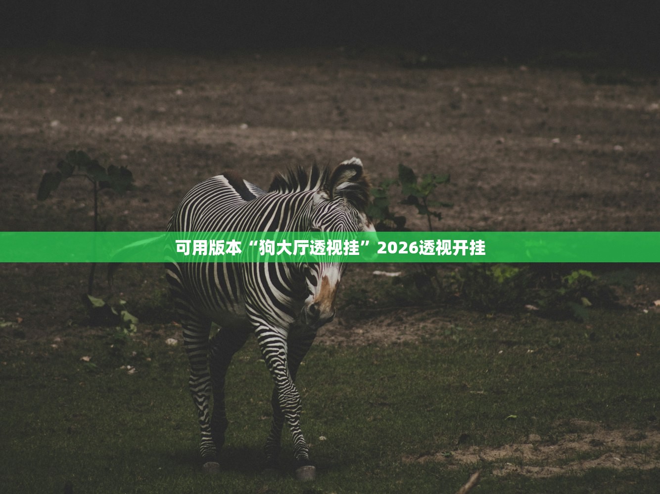 分享实测辅助“老友透视神器”(原来确实是有插件) 