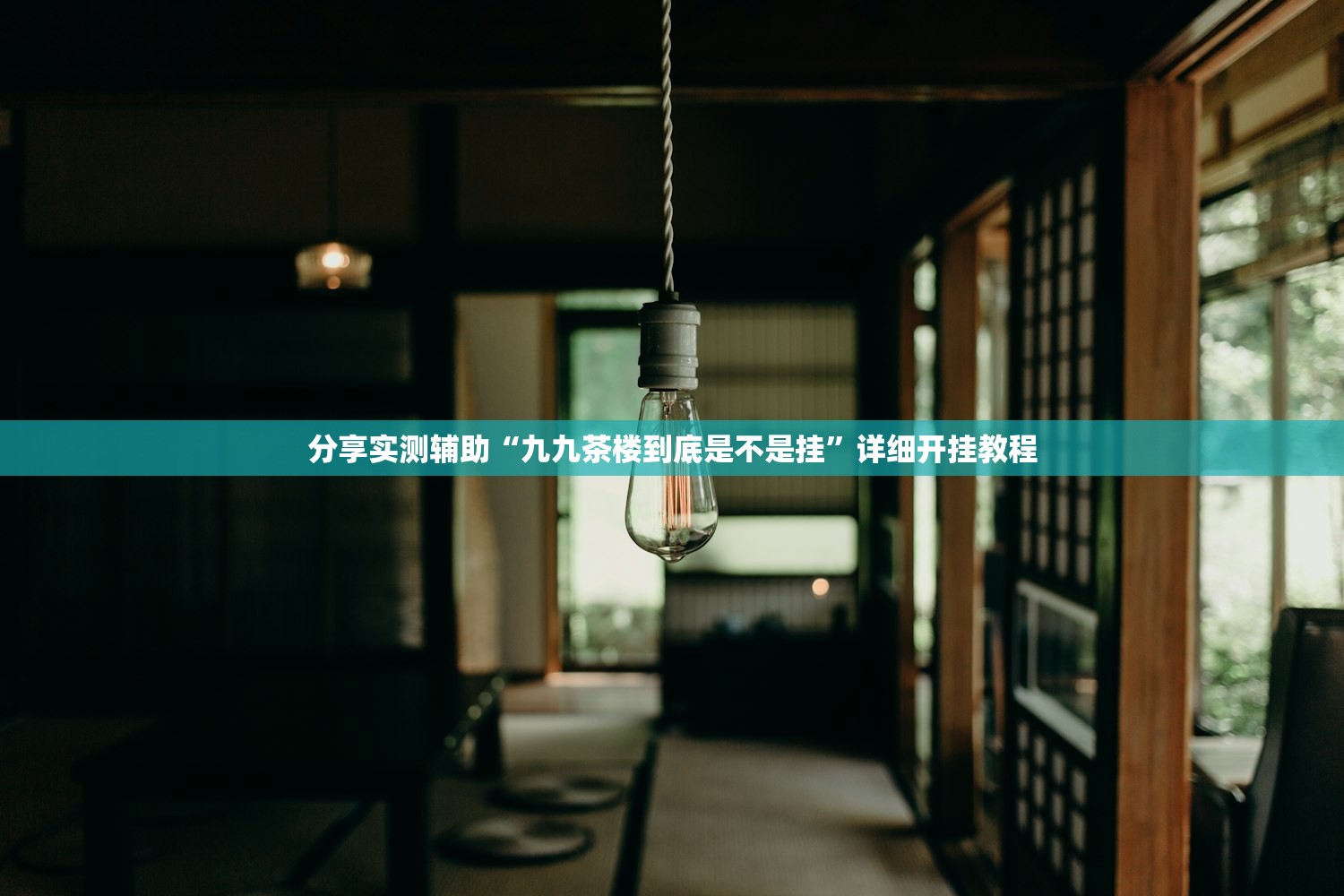 分享实测辅助“九九茶楼到底是不是挂”详细开挂教程