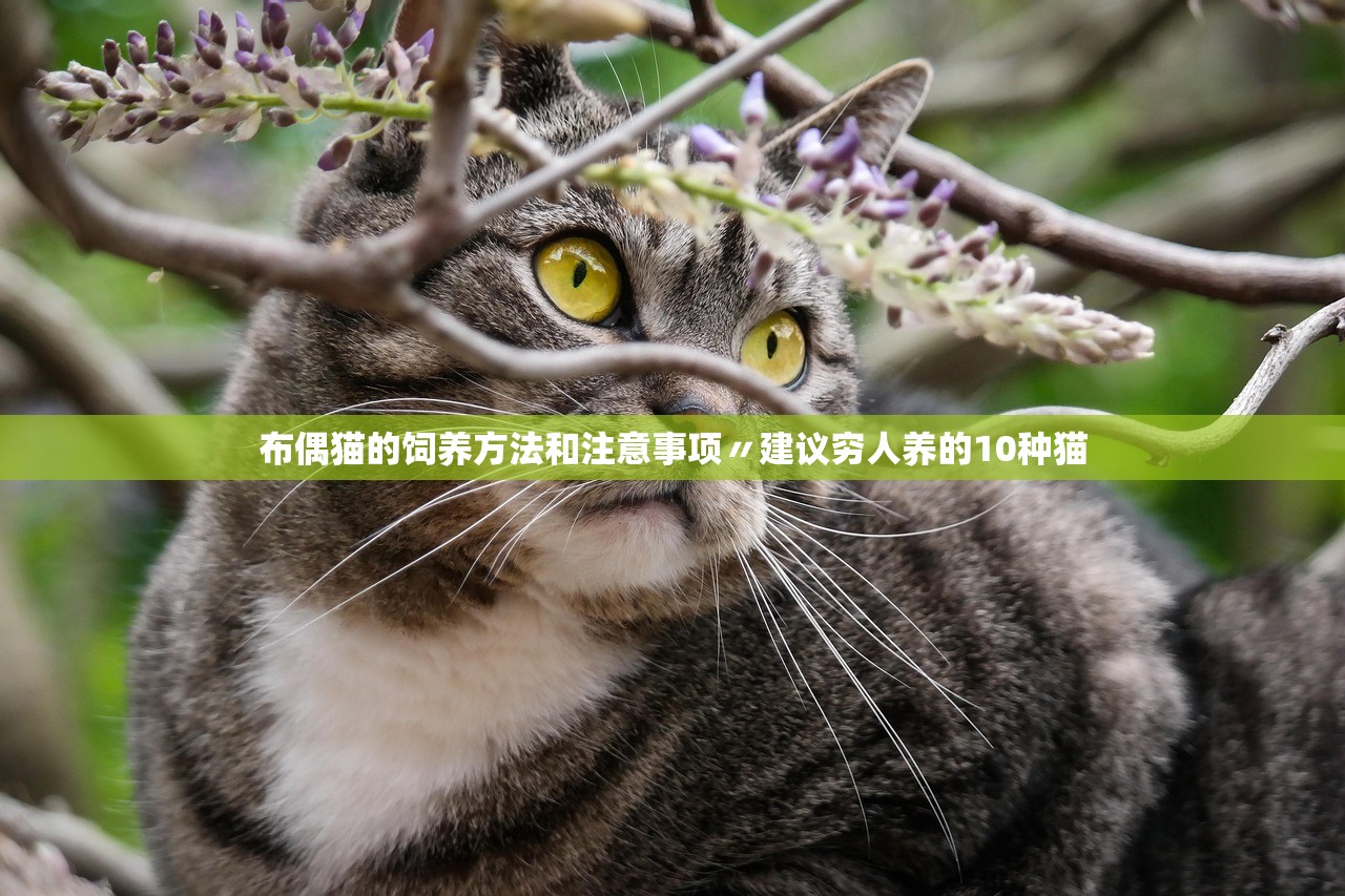 玩家必备攻略“麦穗金花有挂吗	”附开挂脚本详细步骤