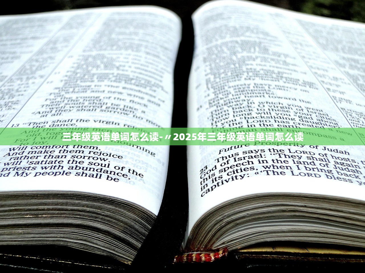 三年级英语单词怎么读-〃2025年三年级英语单词怎么读