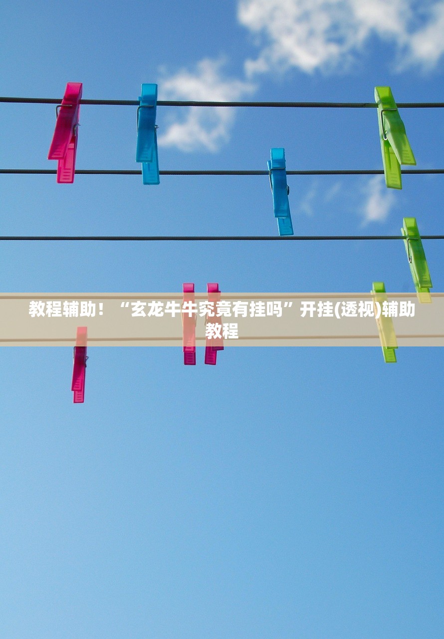 教程辅助！“玄龙牛牛究竟有挂吗	”开挂(透视)辅助教程