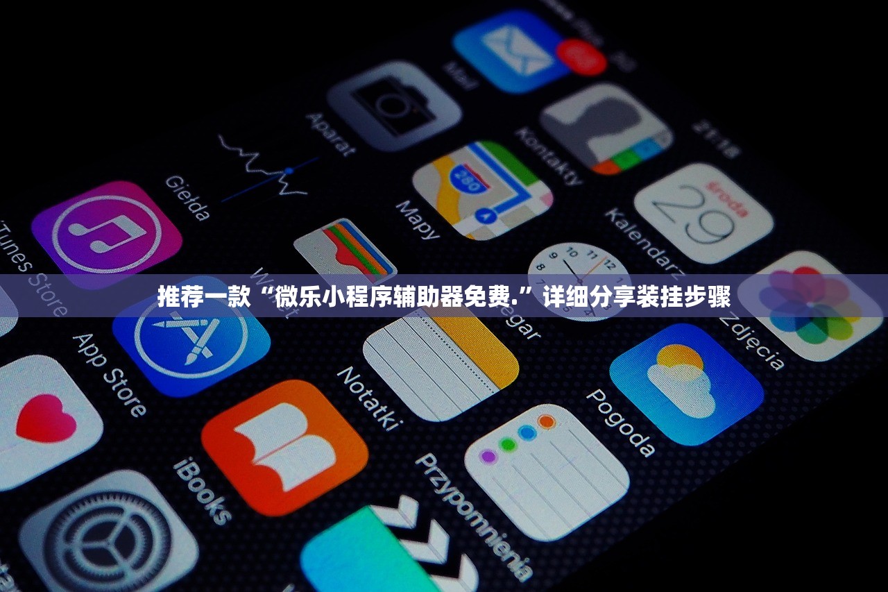 推荐一款“微乐小程序辅助器免费.”详细分享装挂步骤