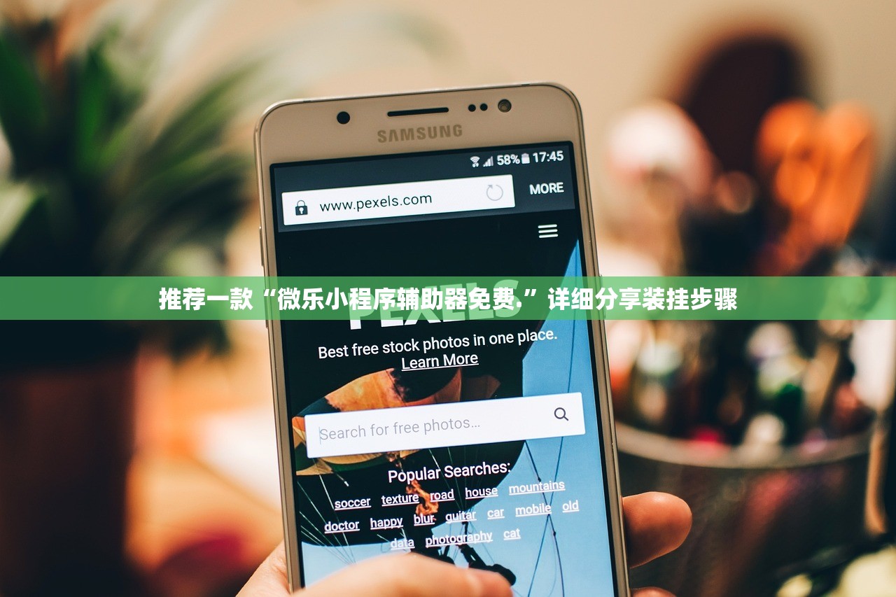 推荐一款“微乐小程序辅助器免费.”详细分享装挂步骤