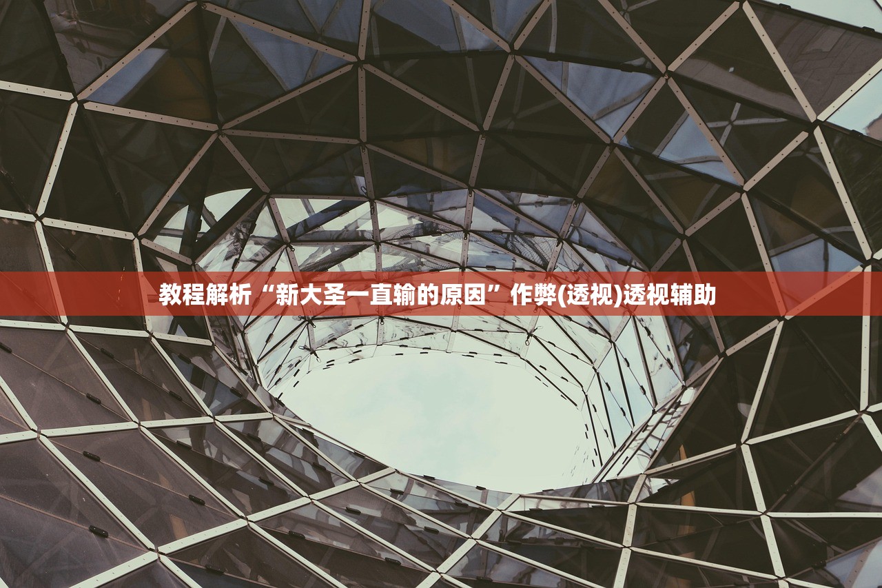 教程解析“新大圣一直输的原因”作弊(透视)透视辅助 