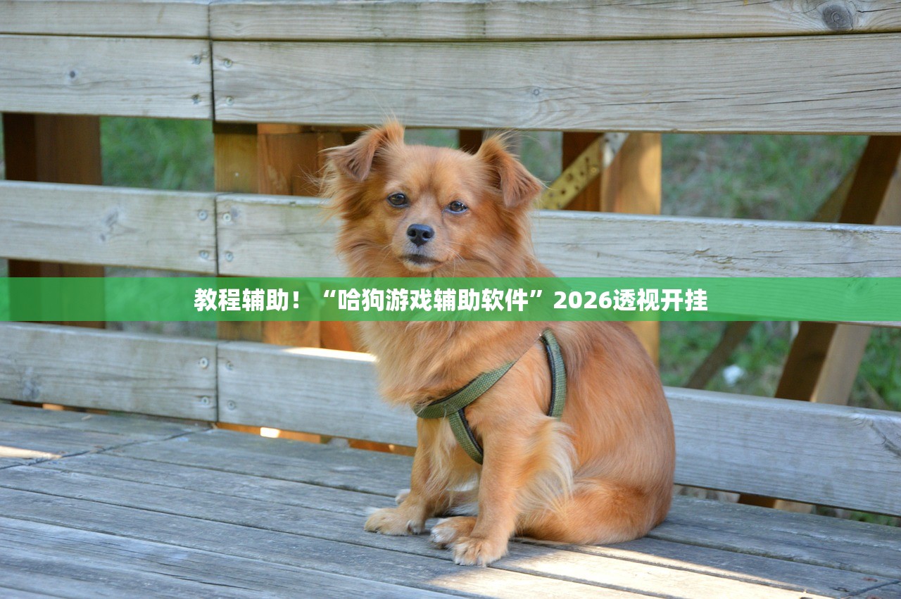 教程辅助！“哈狗游戏辅助软件”2026透视开挂
