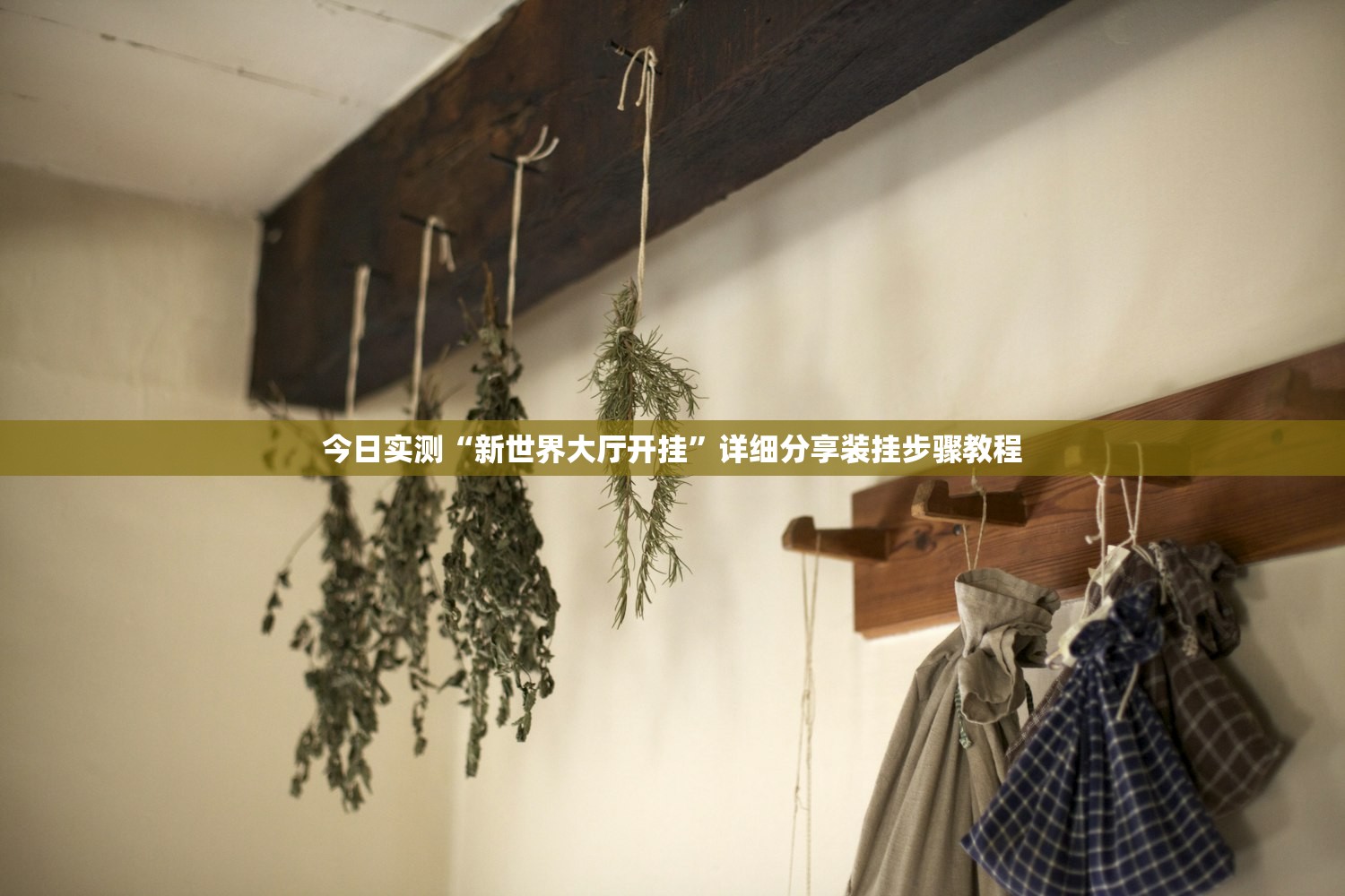 今日实测“新世界大厅开挂”详细分享装挂步骤教程