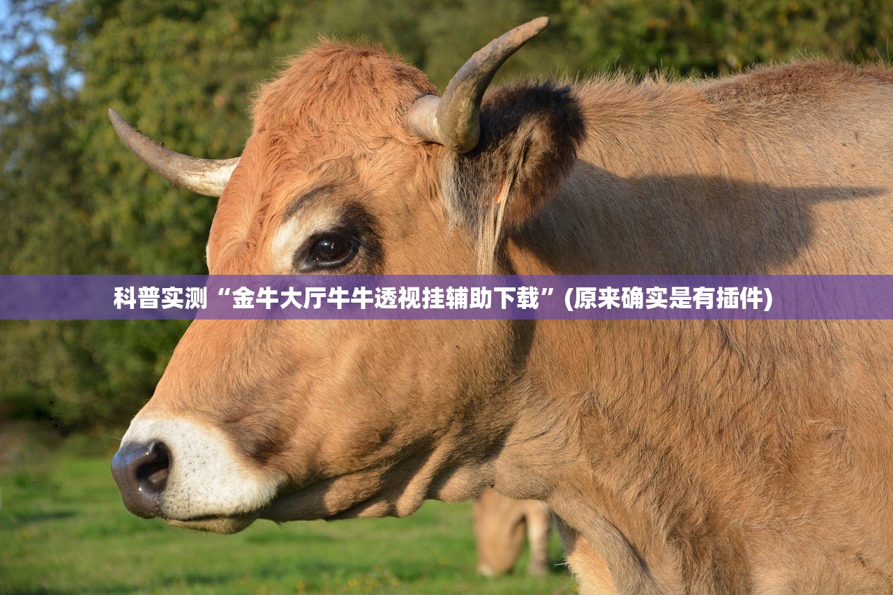 科普实测“金牛大厅牛牛透视挂辅助下载”(原来确实是有插件) 
