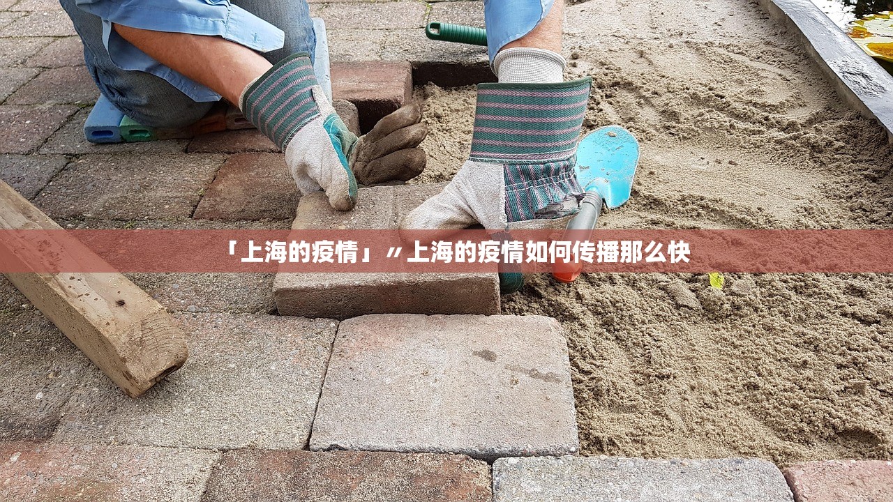 「上海的疫情」〃上海的疫情如何传播那么快 「上海的疫情」〃上海的疫情如何传播那么快