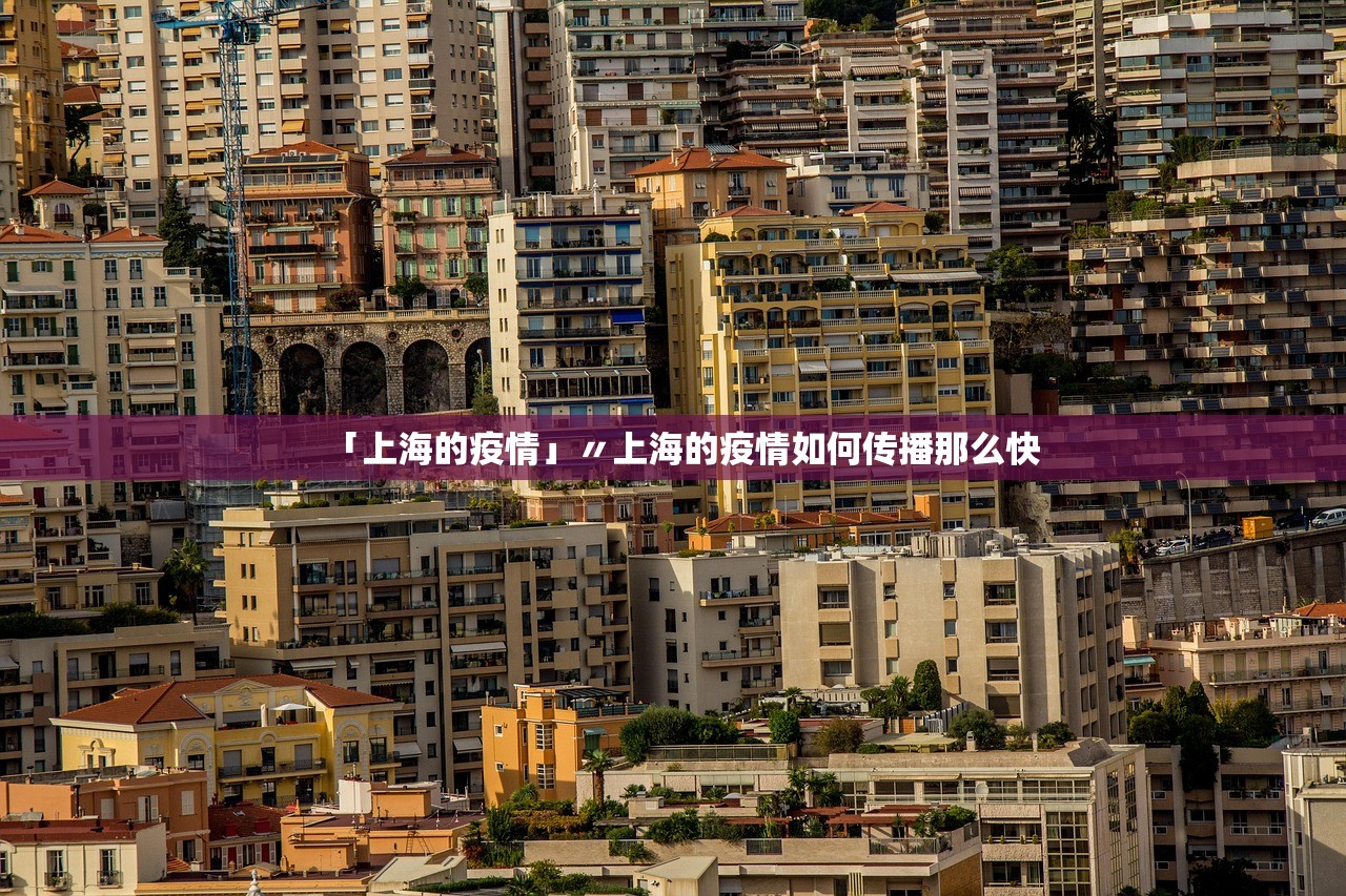 「上海的疫情」〃上海的疫情如何传播那么快 「上海的疫情」〃上海的疫情如何传播那么快