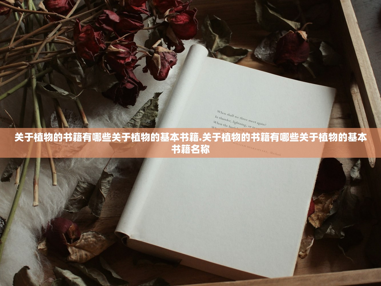 关于植物的书籍有哪些关于植物的基本书籍.关于植物的书籍有哪些关于植物的基本书籍名称 关于植物的书籍有哪些关于植物的基本书籍.关于植物的书籍有哪些关于植物的基本书籍名称