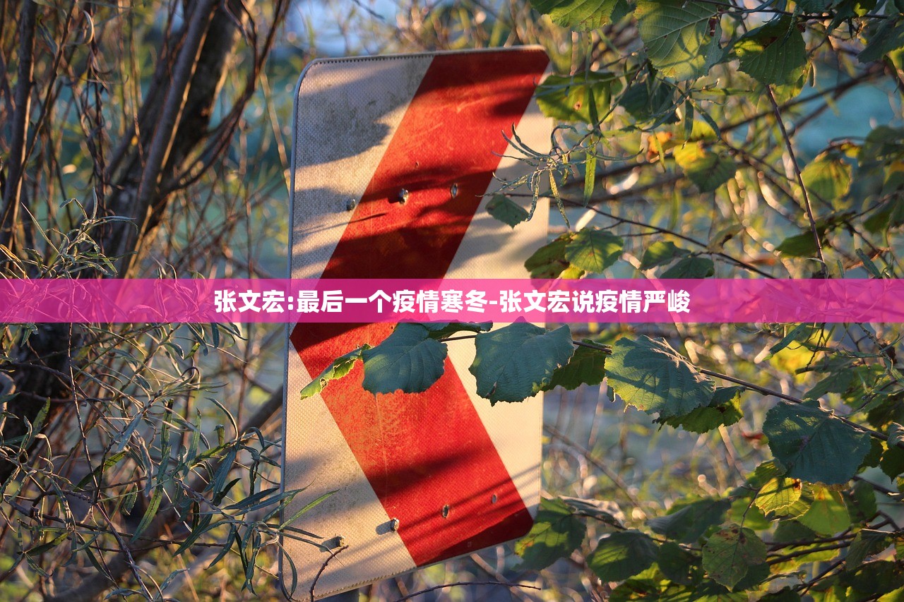 张文宏:最后一个疫情寒冬-张文宏说疫情严峻 张文宏:最后一个疫情寒冬-张文宏说疫情严峻