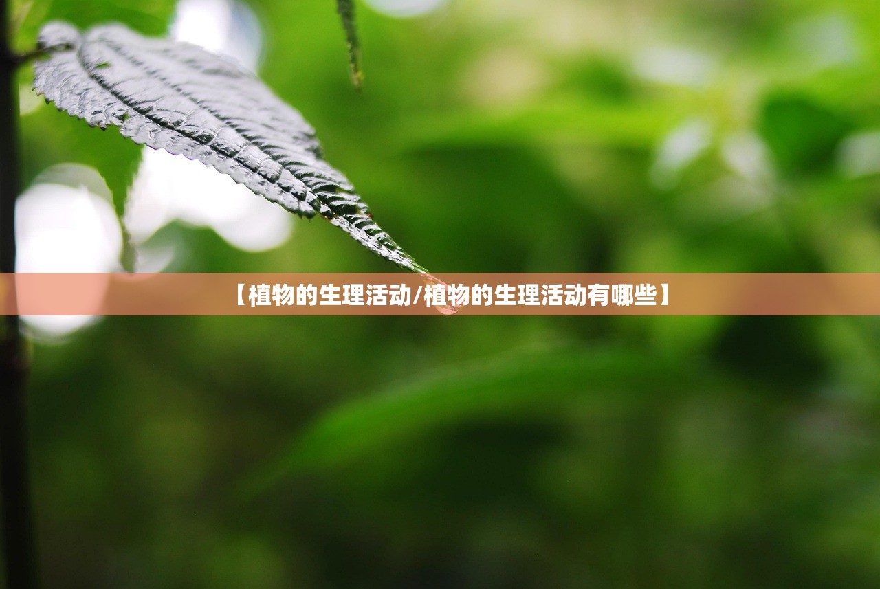 【植物的生理活动/植物的生理活动有哪些】 【植物的生理活动/植物的生理活动有哪些】
