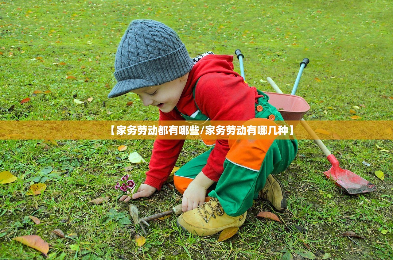 【家务劳动都有哪些/家务劳动有哪几种】 【家务劳动都有哪些/家务劳动有哪几种】