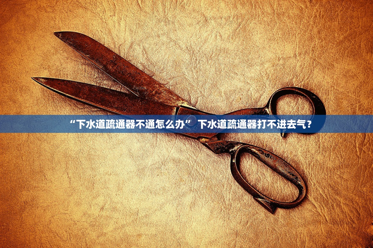 “下水道疏通器不通怎么办” 下水道疏通器打不进去气？