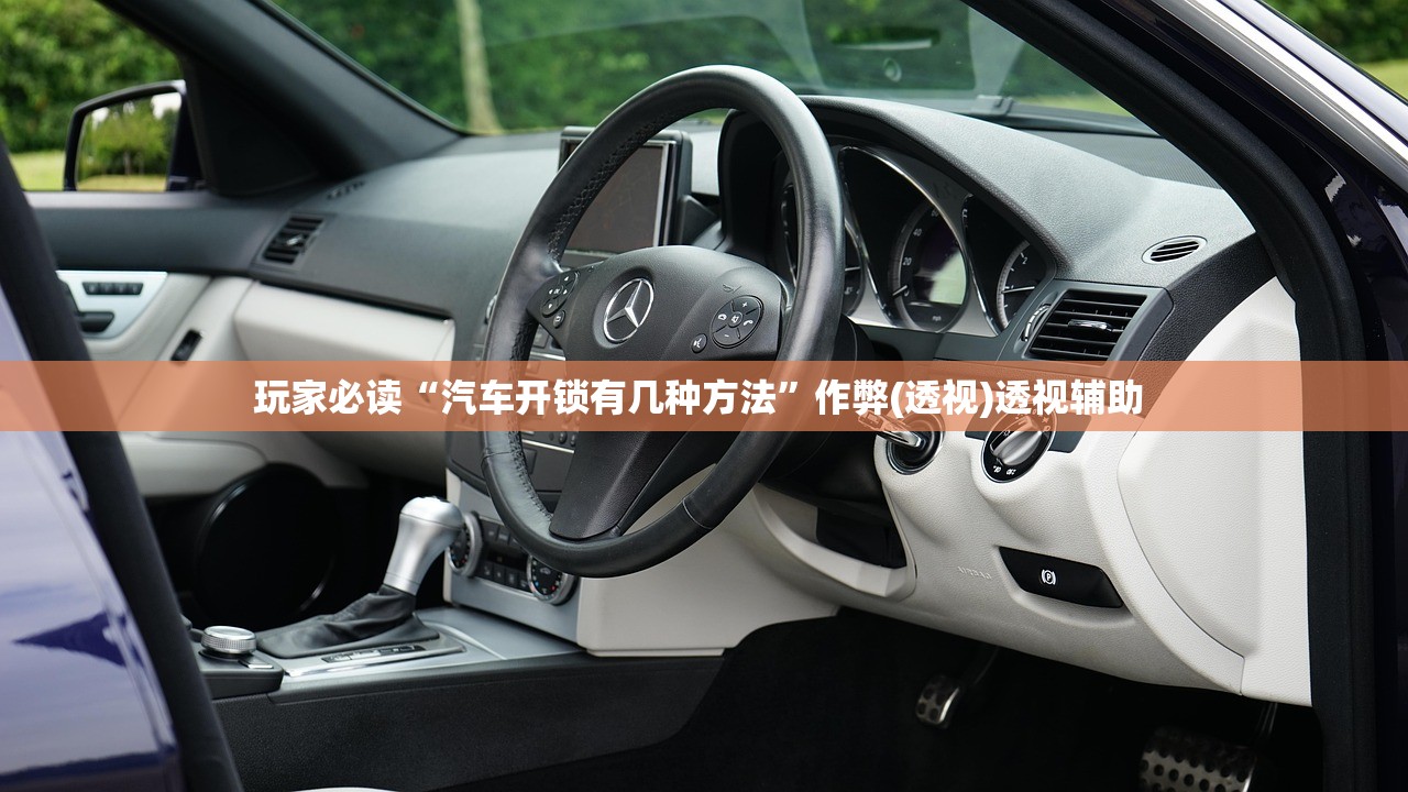 玩家必读“汽车开锁有几种方法	”作弊(透视)透视辅助 