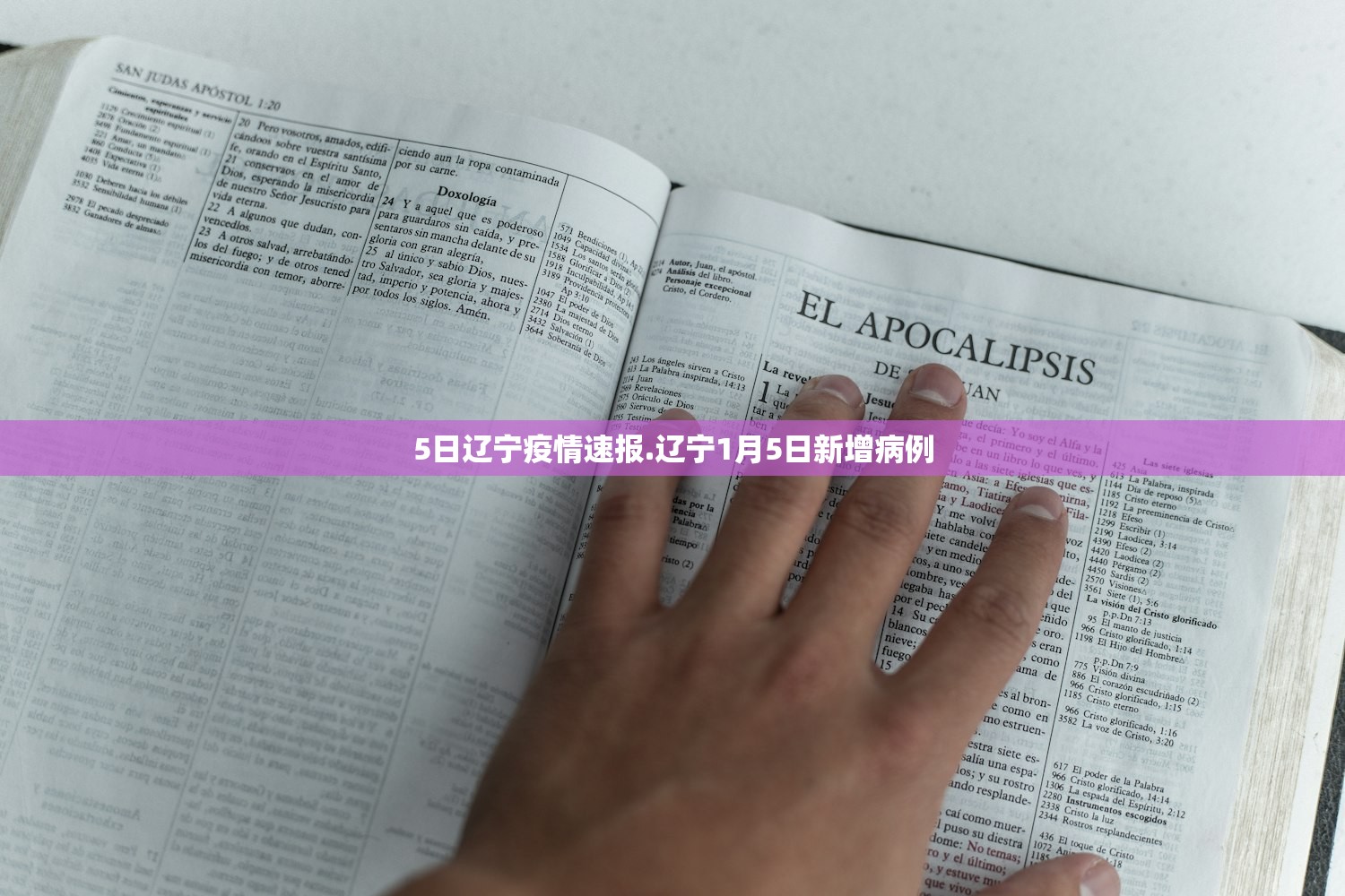 5日辽宁疫情速报.辽宁1月5日新增病例 5日辽宁疫情速报.辽宁1月5日新增病例