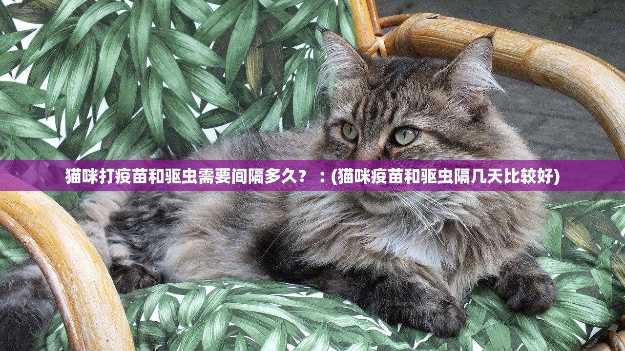 猫咪打疫苗和驱虫需要间隔多久?︰(猫咪疫苗和驱虫隔几天比较好) 猫咪打疫苗和驱虫需要间隔多久?︰(猫咪疫苗和驱虫隔几天比较好)