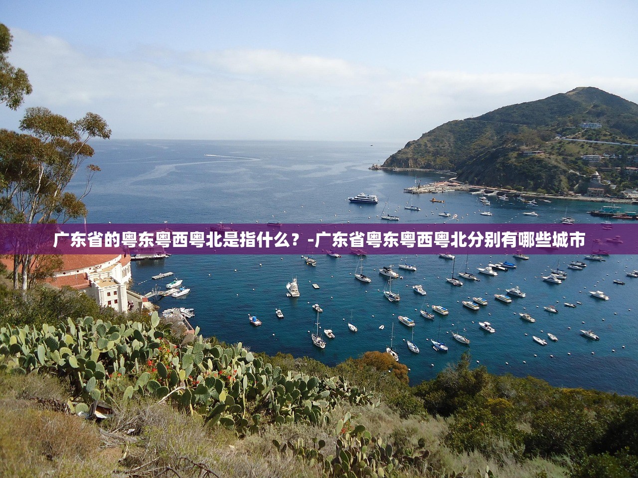 广东省的粤东粤西粤北是指什么?-广东省粤东粤西粤北分别有哪些城市 广东省的粤东粤西粤北是指什么?-广东省粤东粤西粤北分别有哪些城市