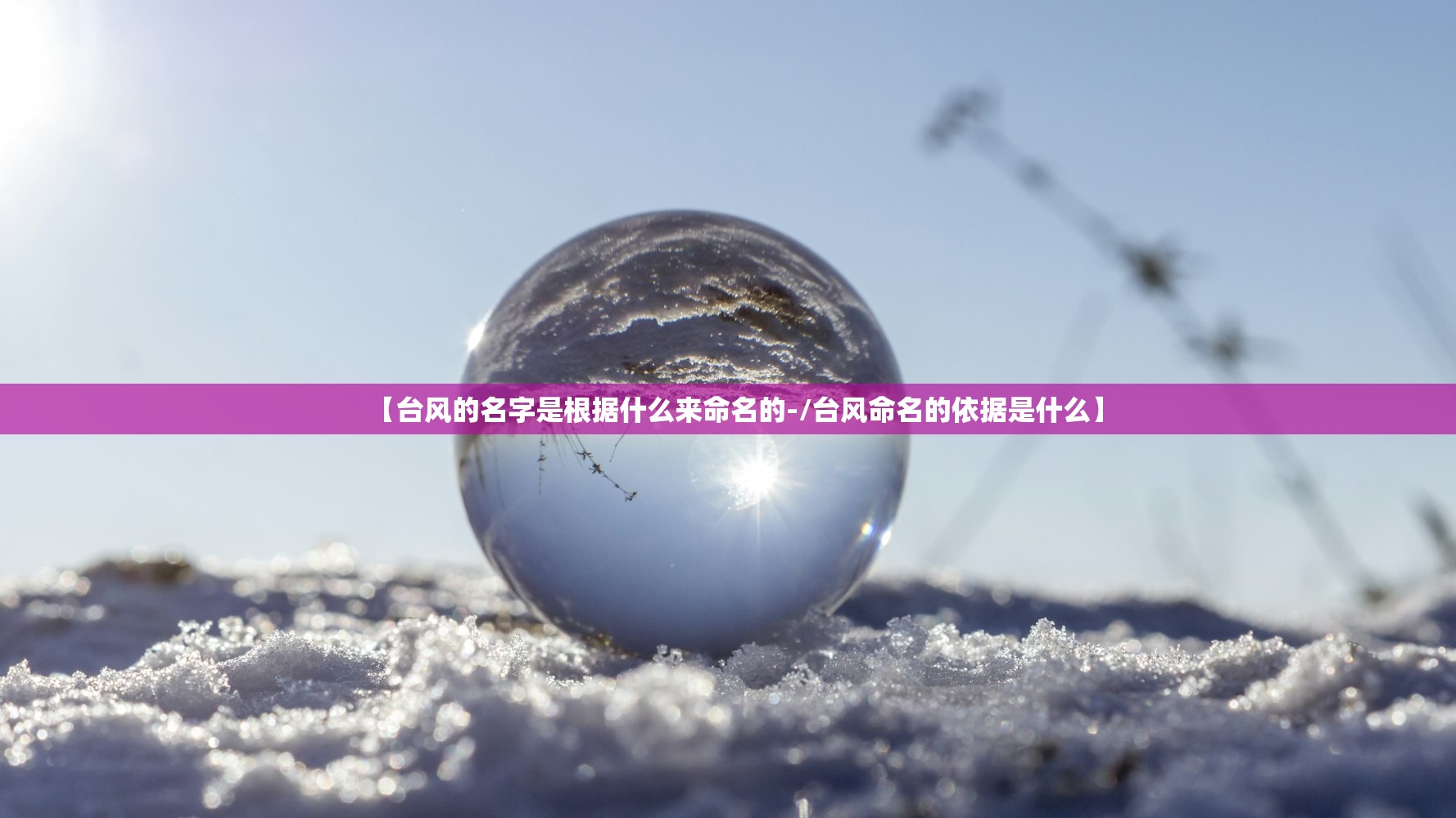 【台风的名字是根据什么来命名的-/台风命名的依据是什么】 【台风的名字是根据什么来命名的-/台风命名的依据是什么】
