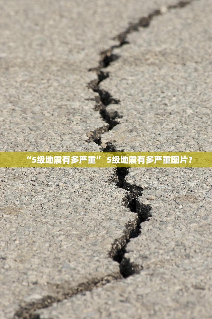 实操教程“九天大厅辅助软件”2026开挂教程步骤