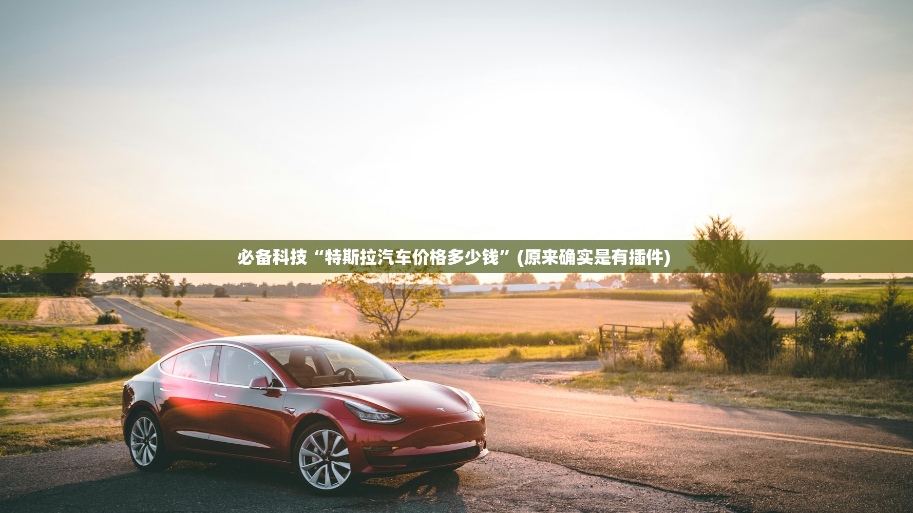 必备科技“特斯拉汽车价格多少钱	”(原来确实是有插件) 