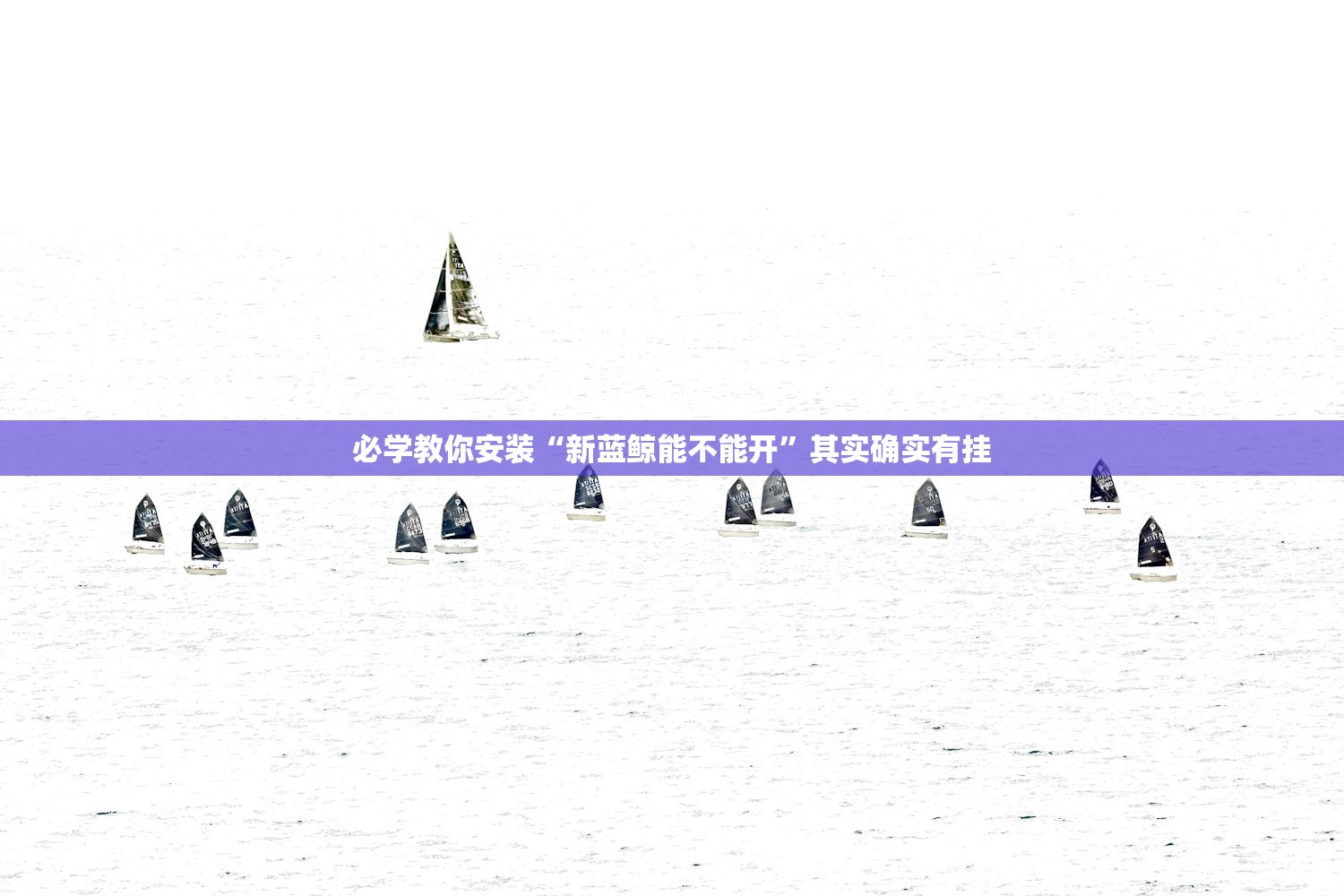必学教你安装“新蓝鲸能不能开”其实确实有挂
