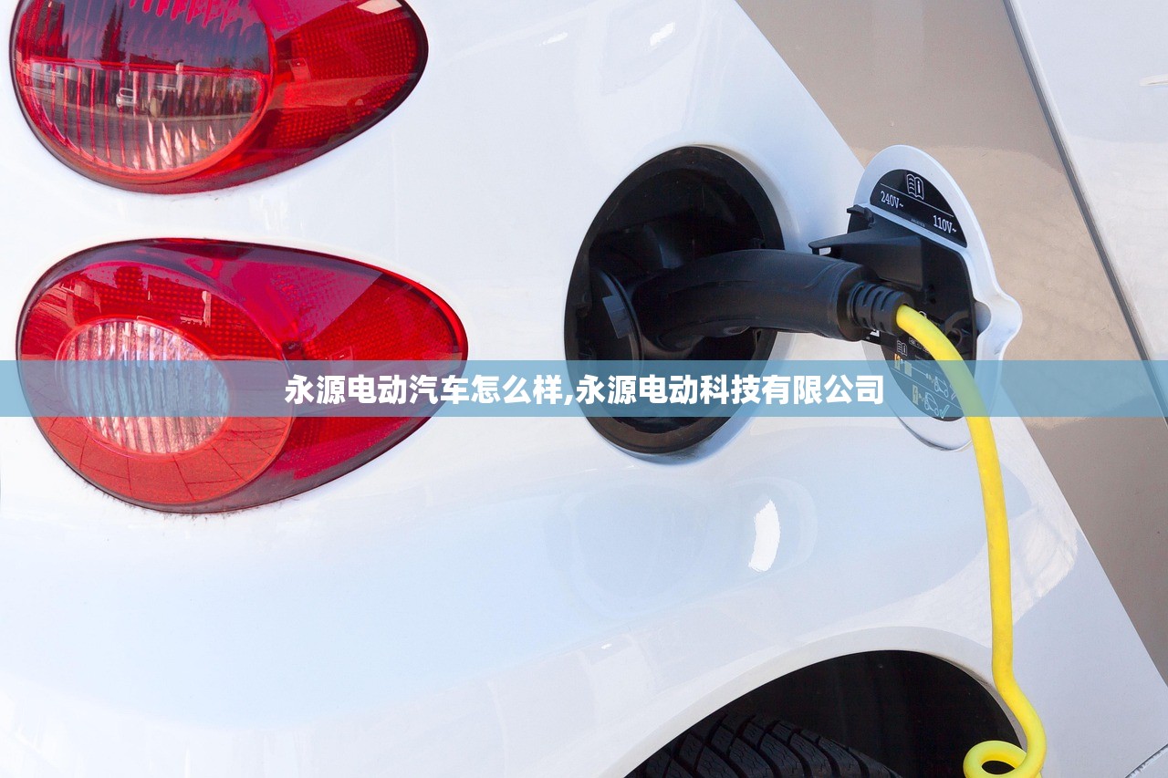 永源电动汽车怎么样,永源电动科技有限公司 永源电动汽车怎么样,永源电动科技有限公司