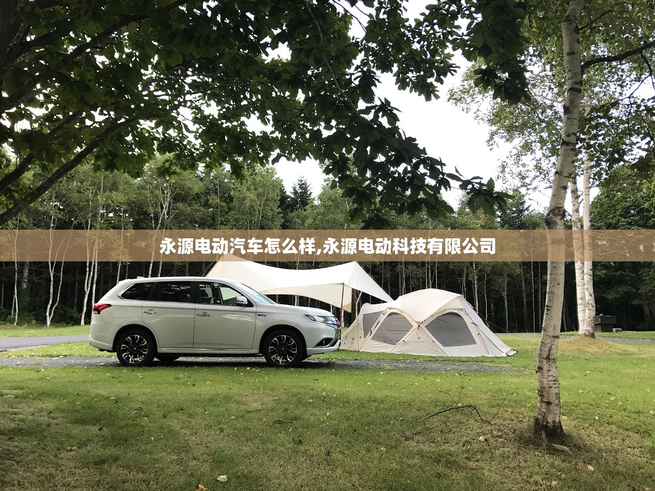 永源电动汽车怎么样,永源电动科技有限公司 永源电动汽车怎么样,永源电动科技有限公司