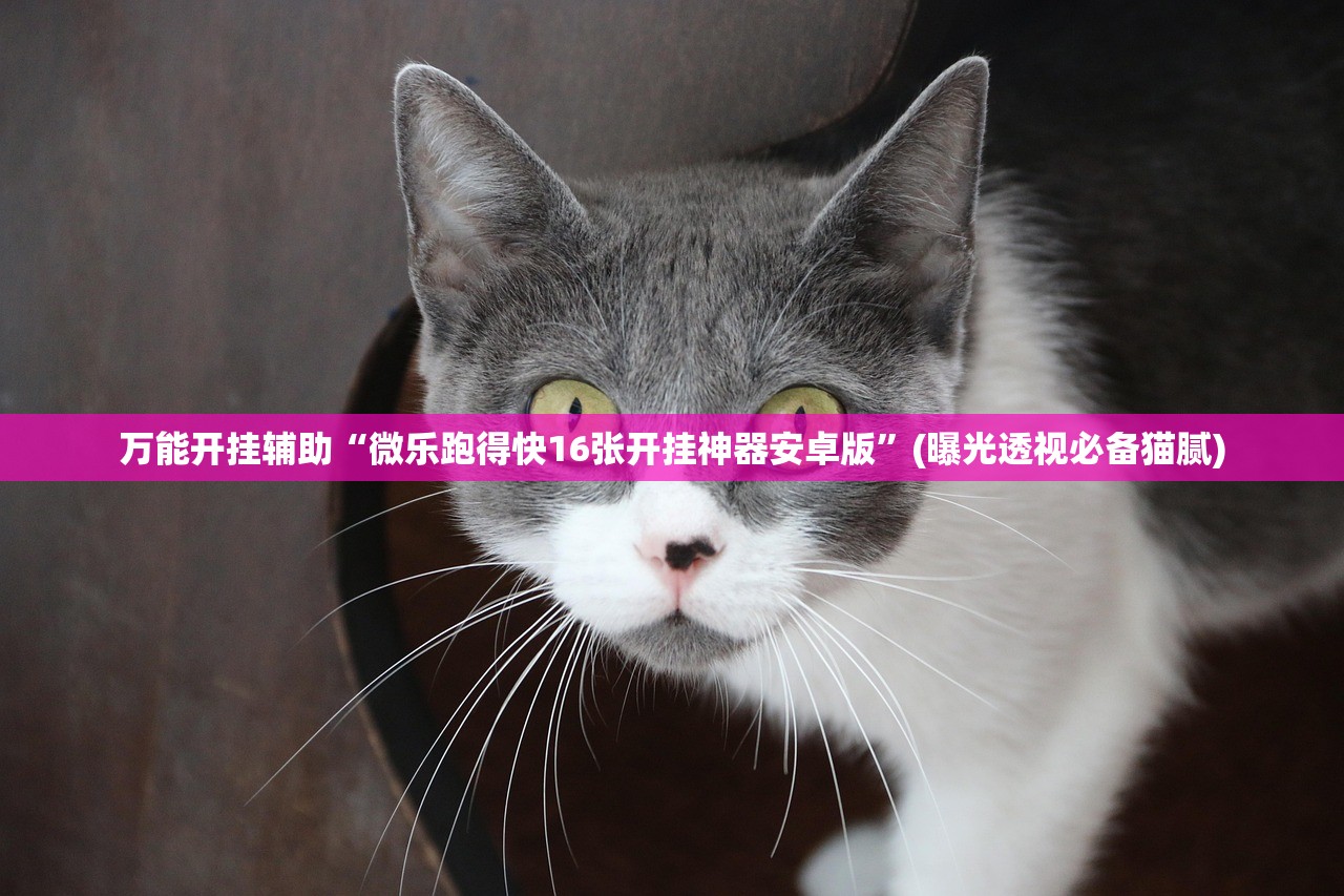 万能开挂辅助“微乐跑得快16张开挂神器安卓版”(曝光透视必备猫腻)