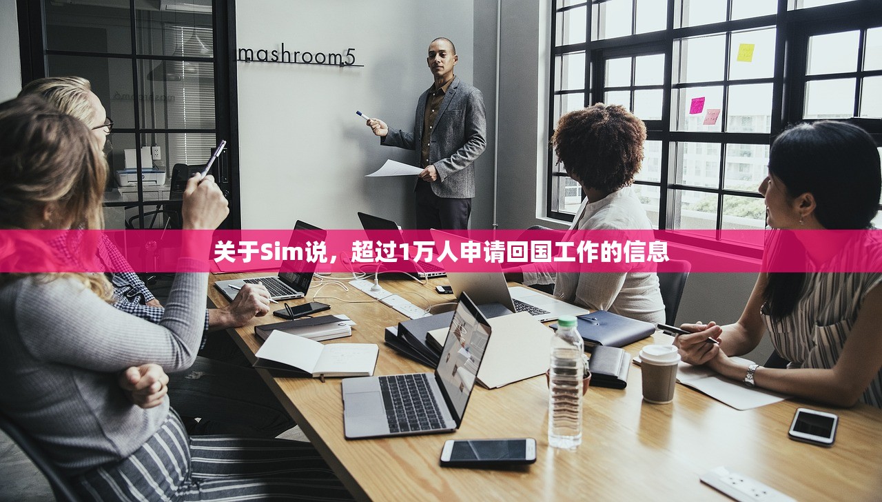 关于Sim说，超过1万人申请回国工作的信息