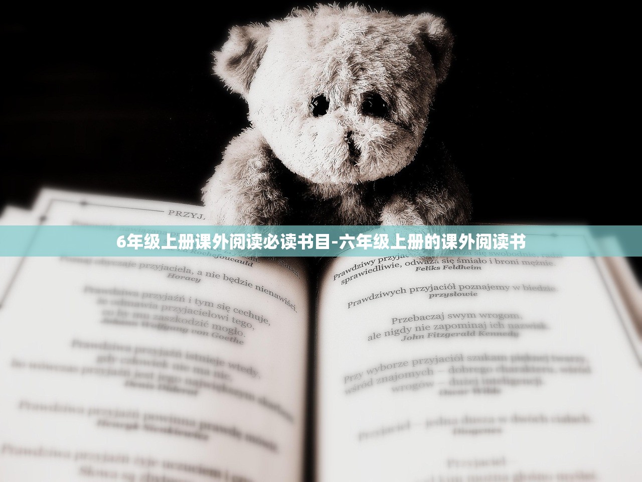 6年级上册课外阅读必读书目-六年级上册的课外阅读书 6年级上册课外阅读必读书目-六年级上册的课外阅读书