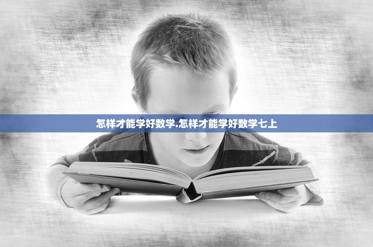 怎样才能学好数学.怎样才能学好数学七上 怎样才能学好数学.怎样才能学好数学七上