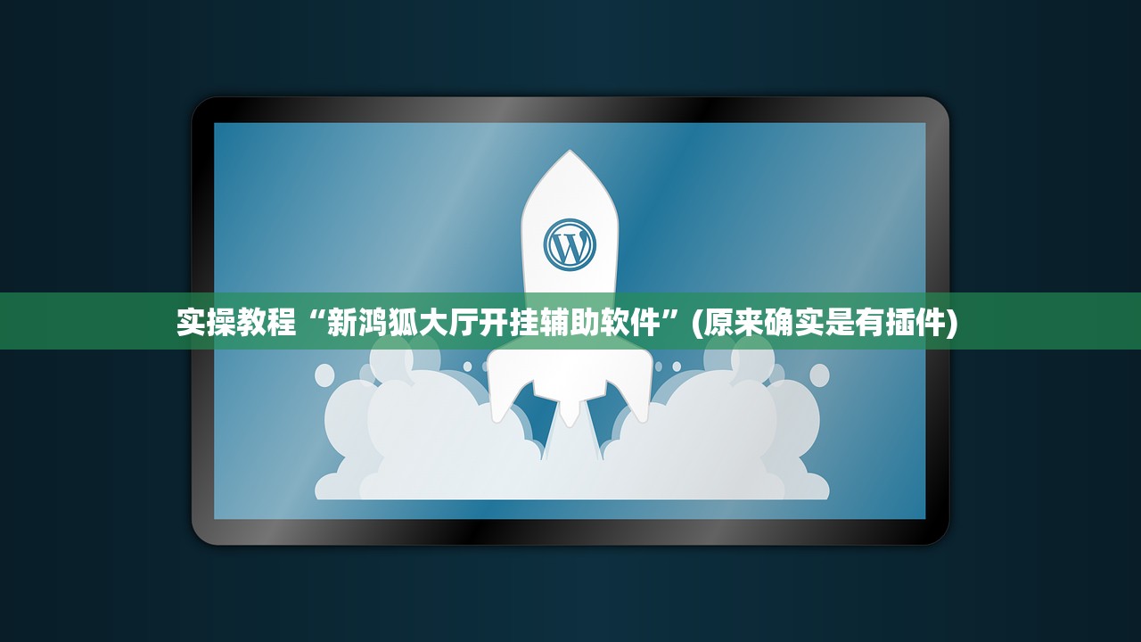实操教程“新鸿狐大厅开挂辅助软件	”(原来确实是有插件) 