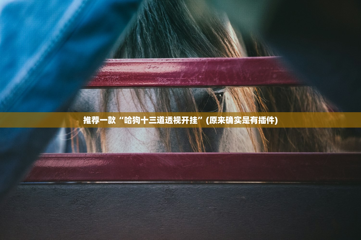 推荐一款“哈狗十三道透视开挂”(原来确实是有插件)