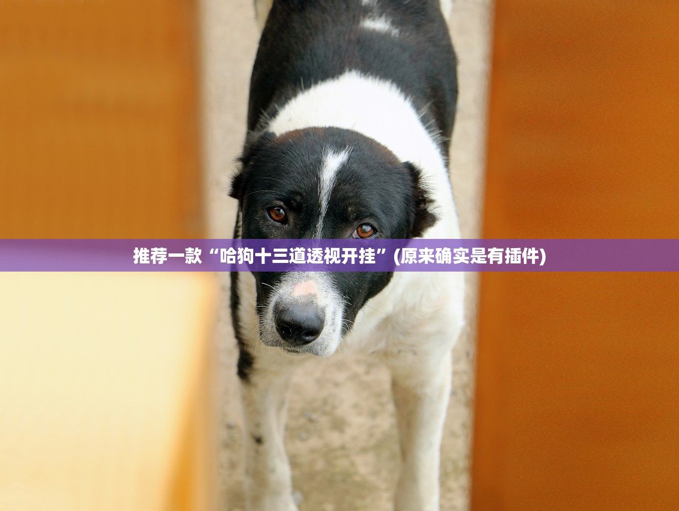 辽宁朝阳疫情最新情况-辽宁朝阳疫情最新情况 辽宁朝阳疫情最新情况-辽宁朝阳疫情最新情况
